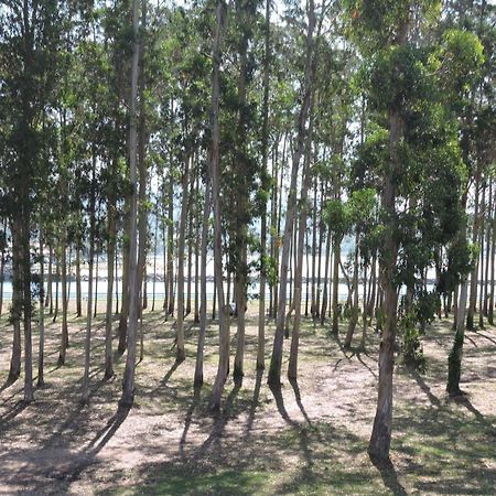 Apartamento Pie De Playa, El Puntal-Villaviciosa Villaviciosa  Dış mekan fotoğraf
